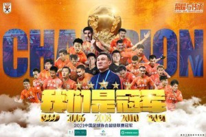 在线入口-【观察】中国足球的鸡毛和凤毛